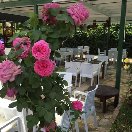 Linda ホテル シダ